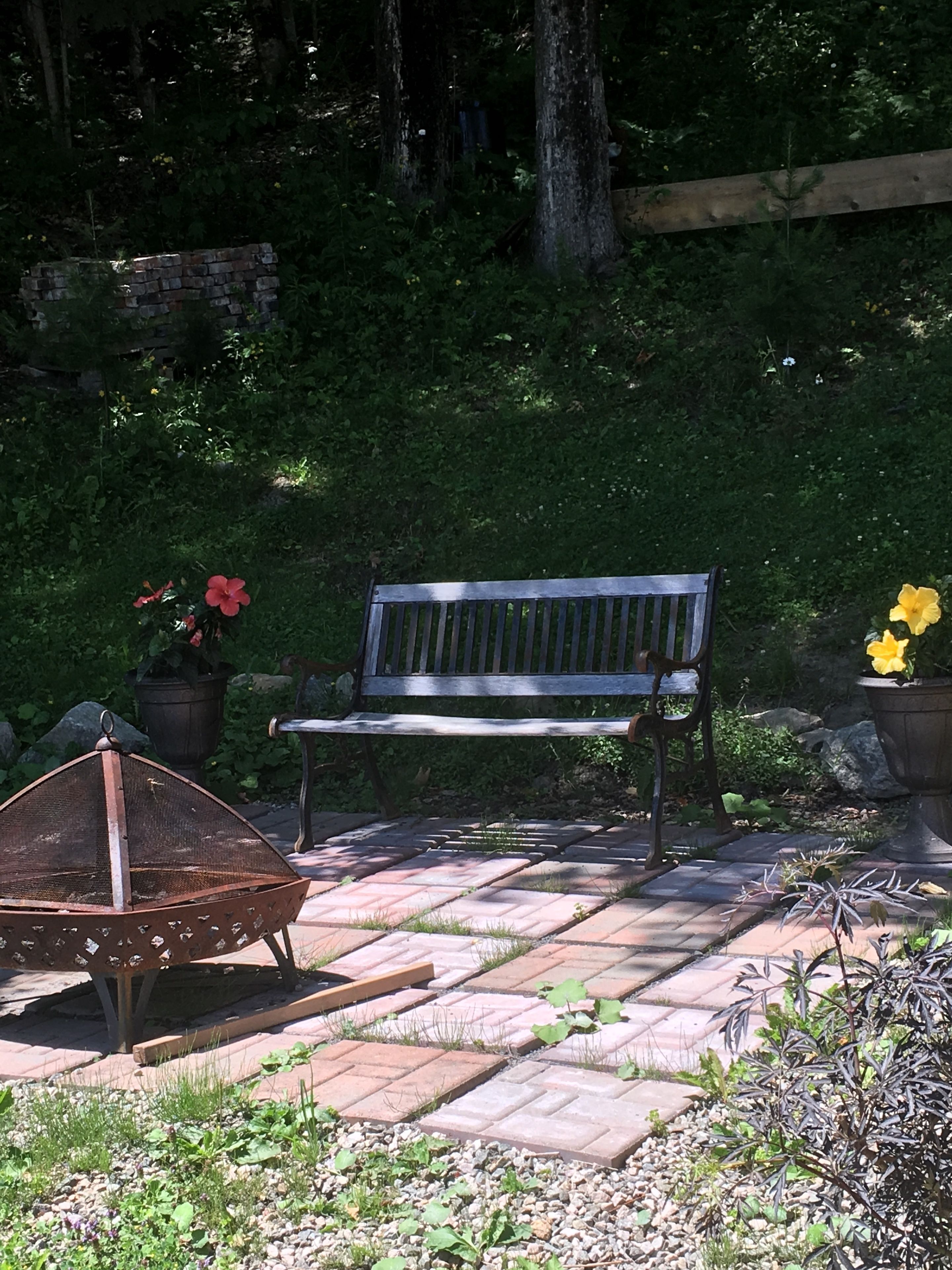 A bench in a garden with a brick pathway, surrounded by greenery and potted plants.