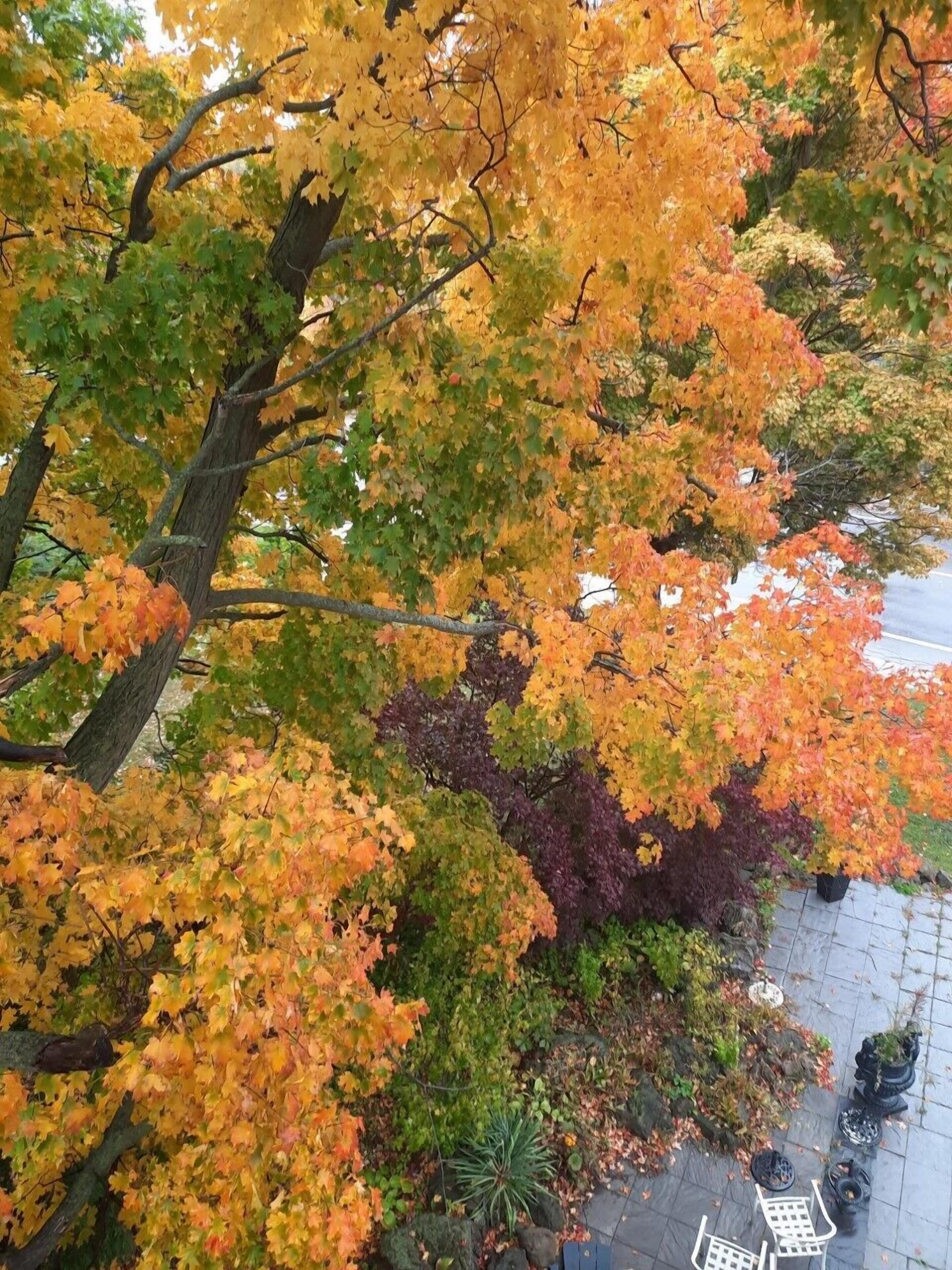 客房景觀
