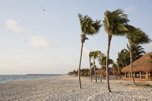 Private beach, white sand, sun loungers, beach umbrellas