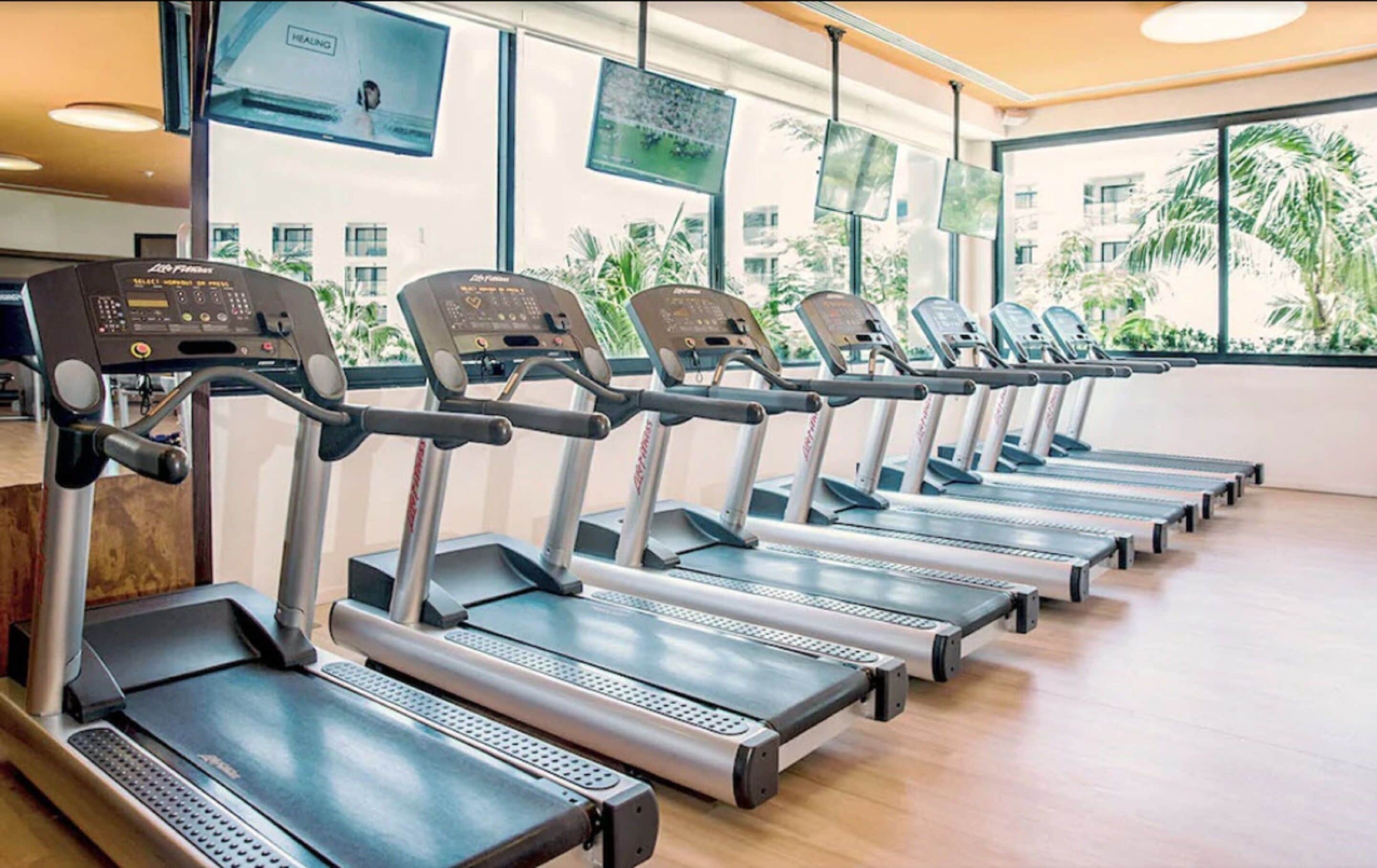 A row of treadmills in a gym with large windows and indoor plants.
