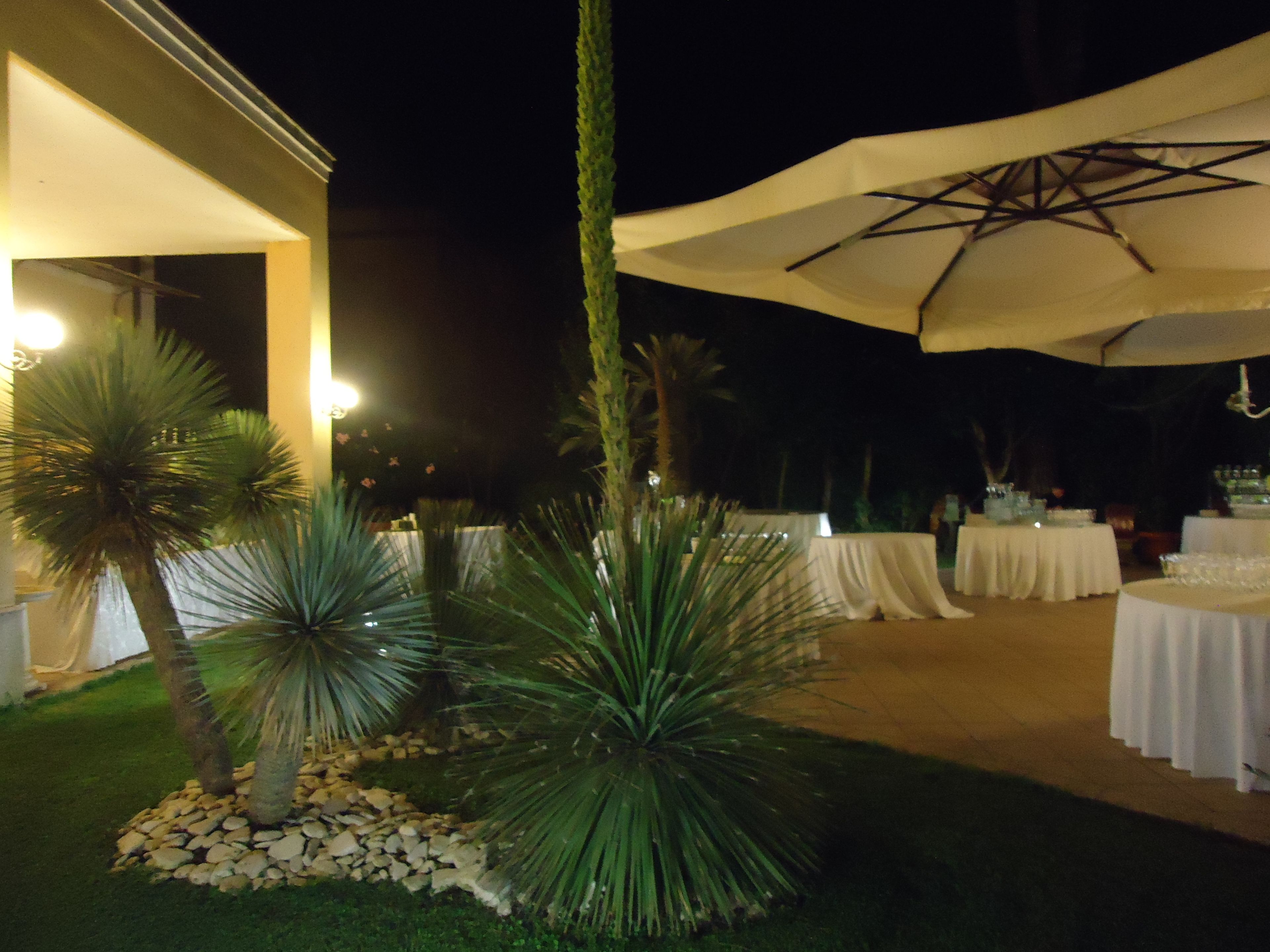 An outdoor event space with tables and umbrellas, surrounded by palm trees and a white building.