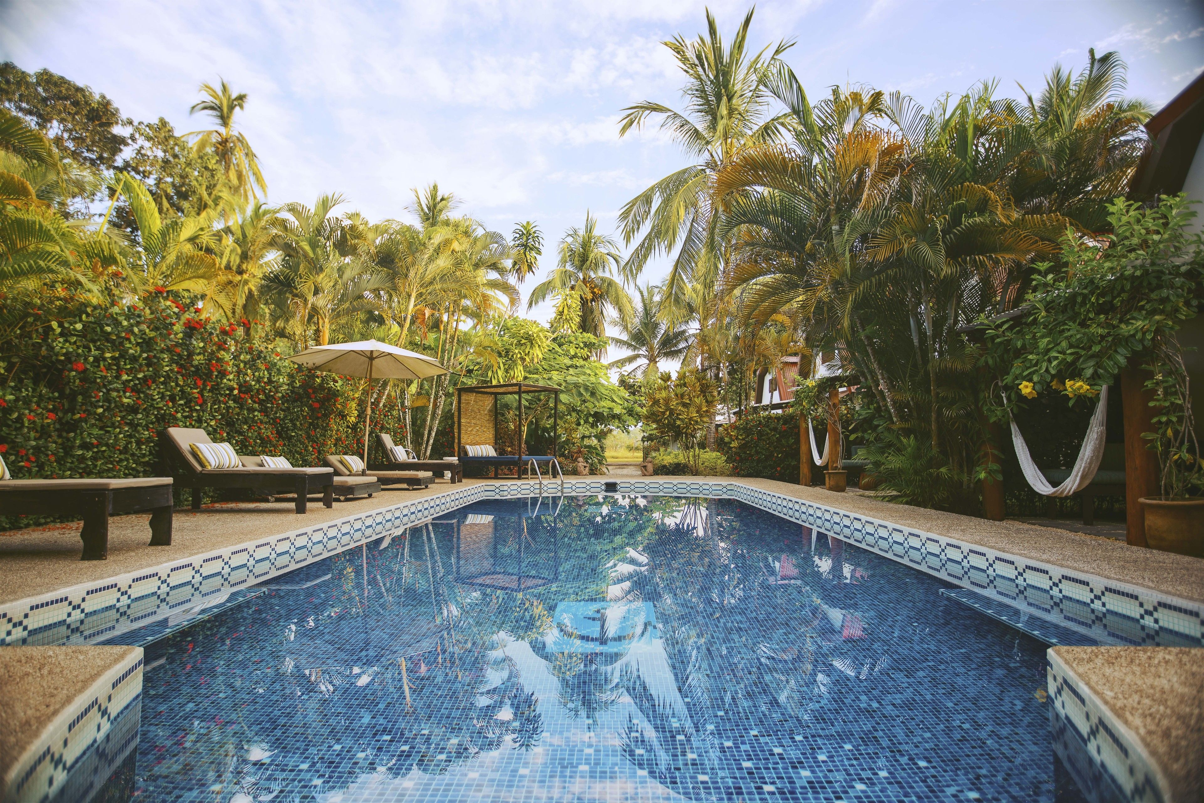 A swimming pool with tiled edges, surrounded by lounge chairs and palm trees.