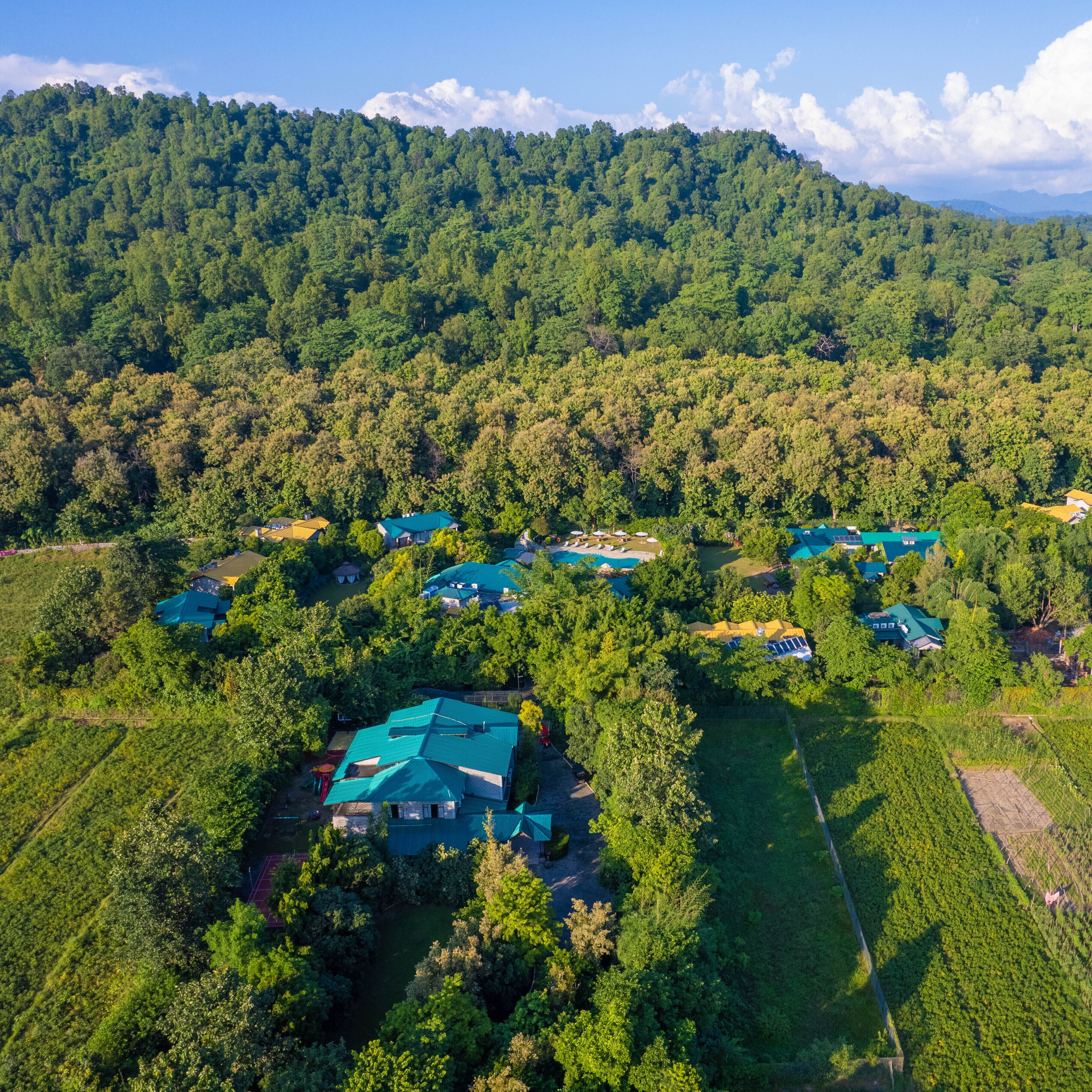 An aerial view of a forested area with several buildings, including houses and cabins, surrounded by dense trees and hills in the background.