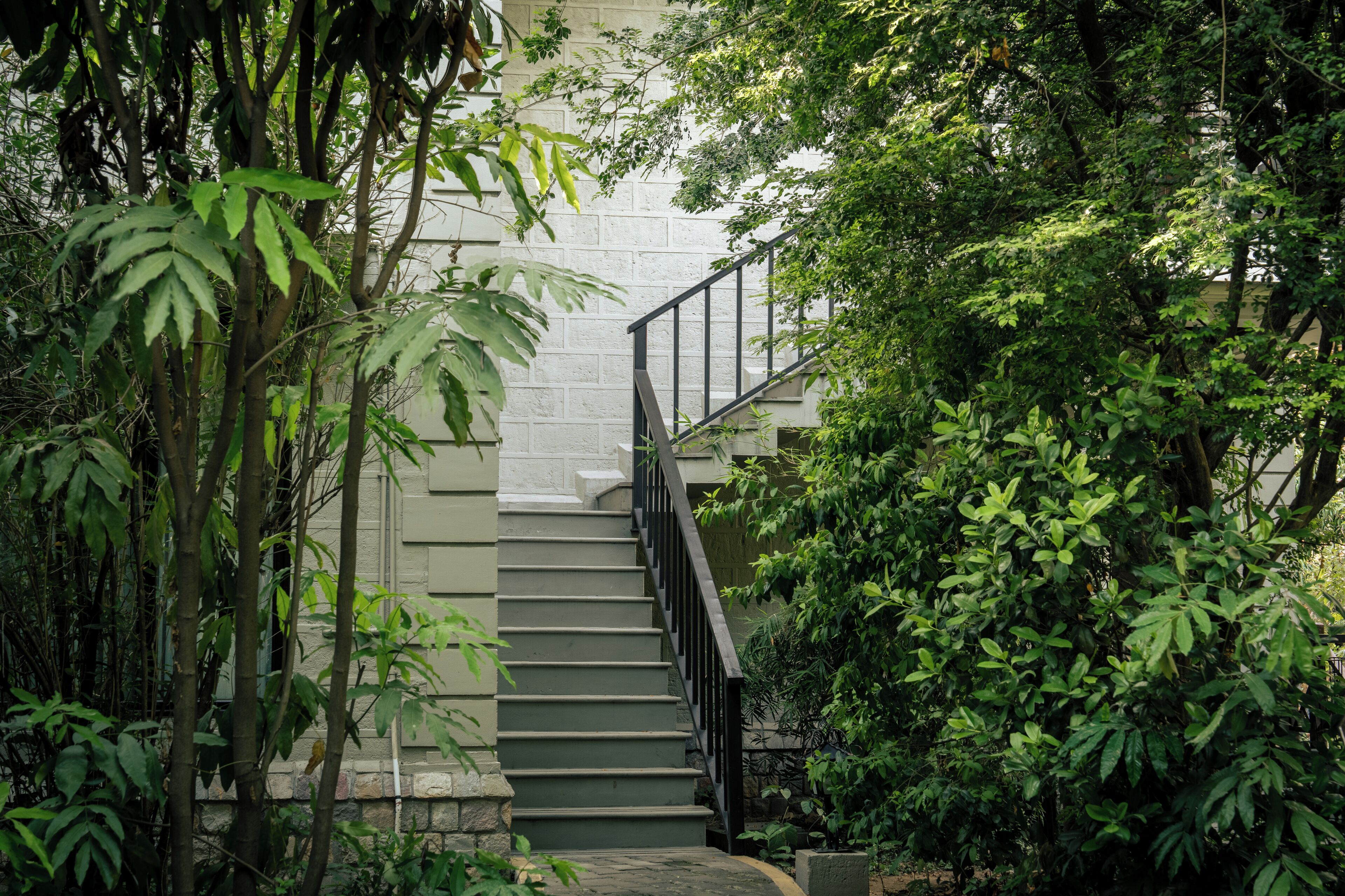 A staircase surrounded by lush greenery, leading to a building with a stone facade.