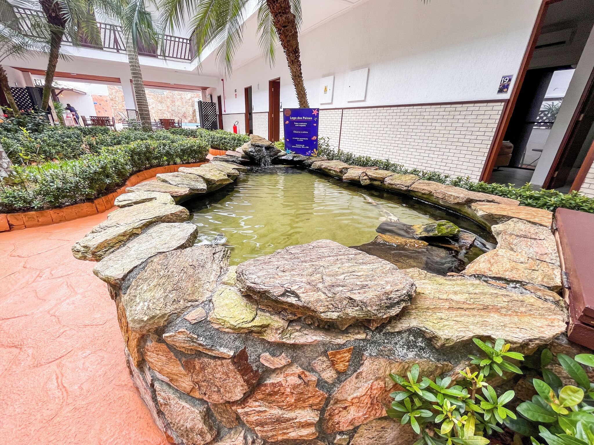 Um lago de pedra com cascata, cercado por vegetação e palmeiras.