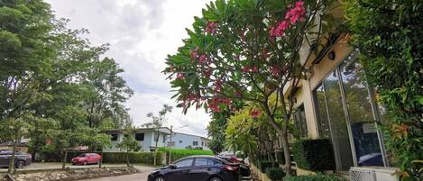A parking lot with a black car parked in the foreground, surrounded by lush greenery and flowering plants.