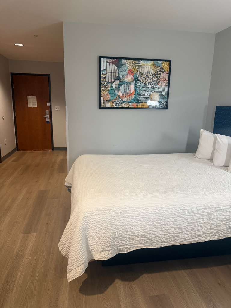 A hotel room with a bed, a door, and a wall-mounted artwork.