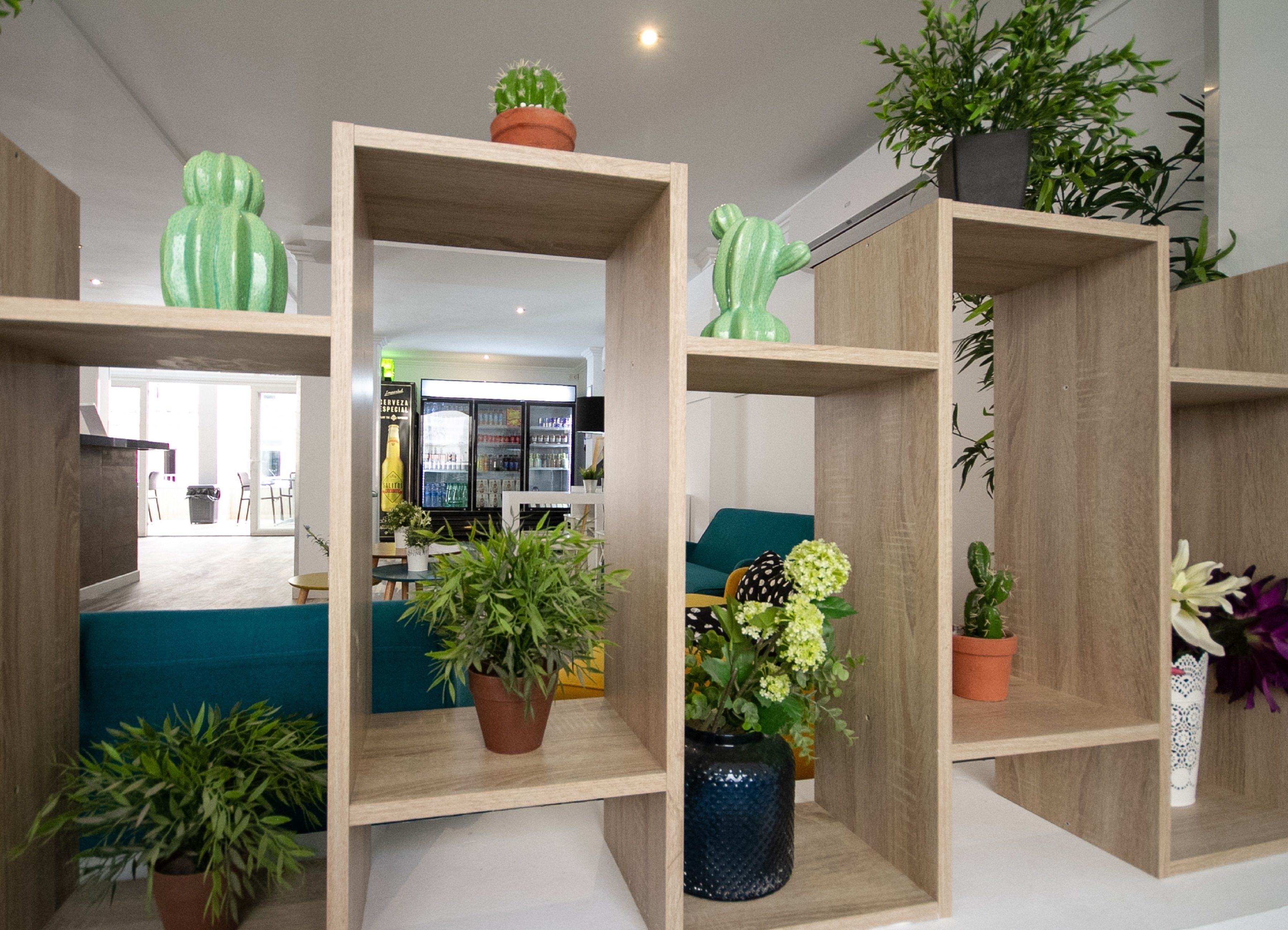 19-inch LED TV with satellite channels, TV