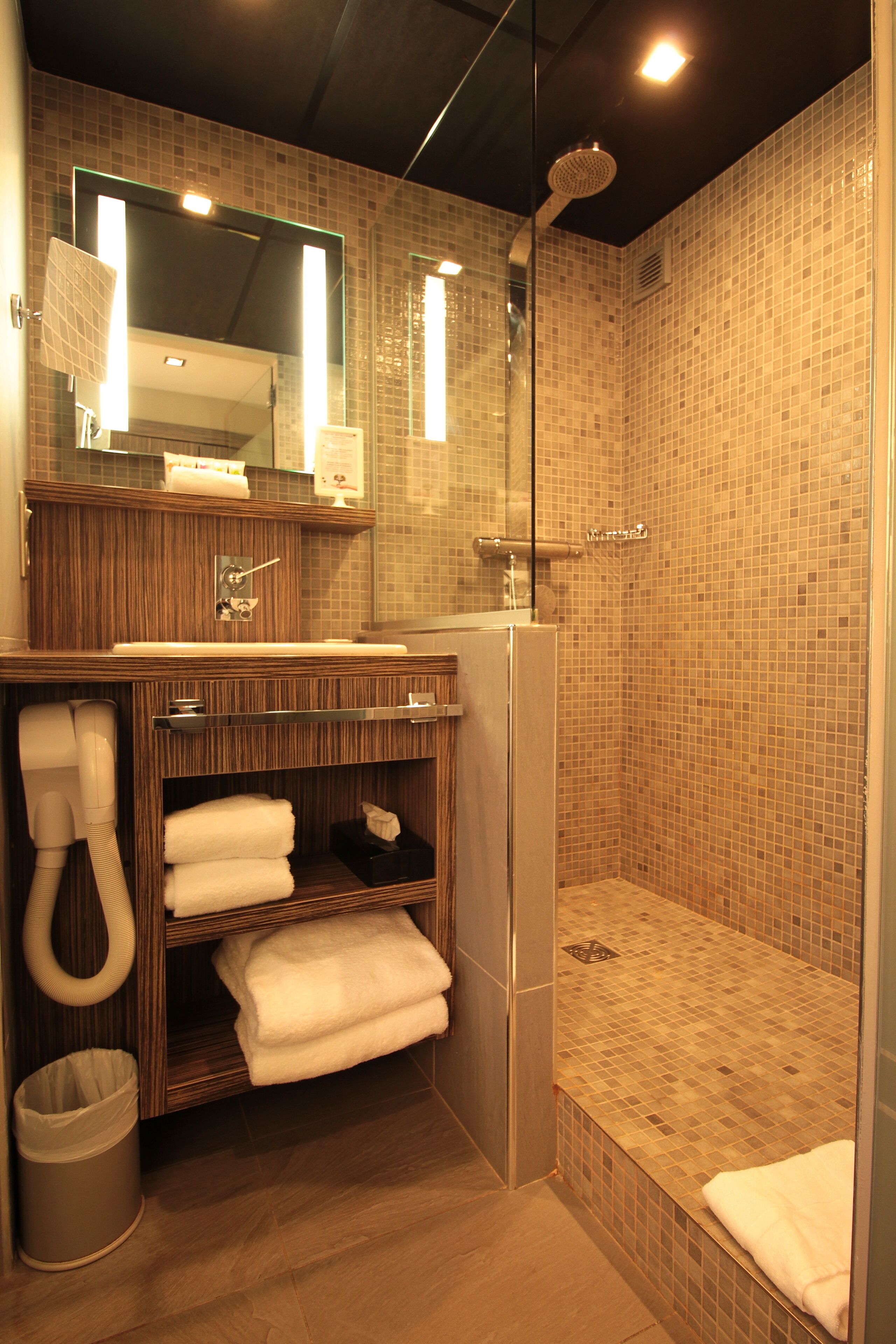 shower, rainfall showerhead, free toiletries, hair dryer