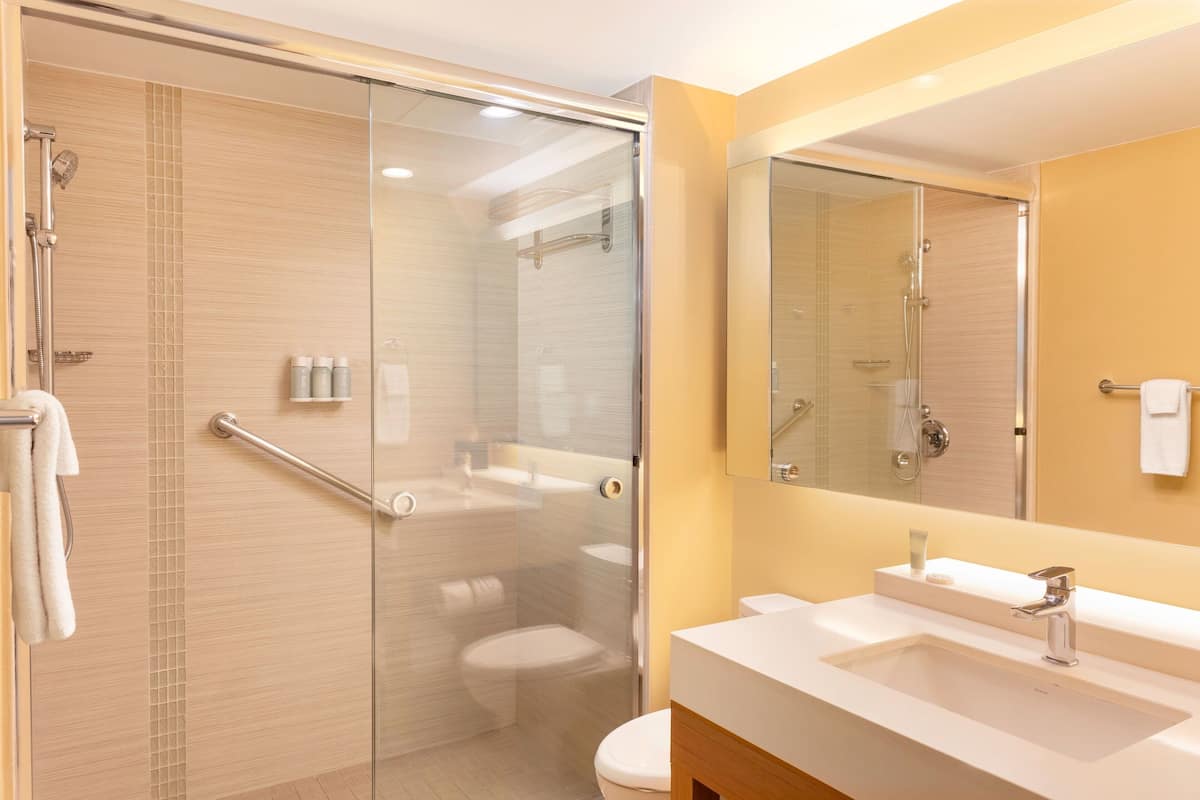 hydromassage showerhead, designer toiletries, hair dryer, towels