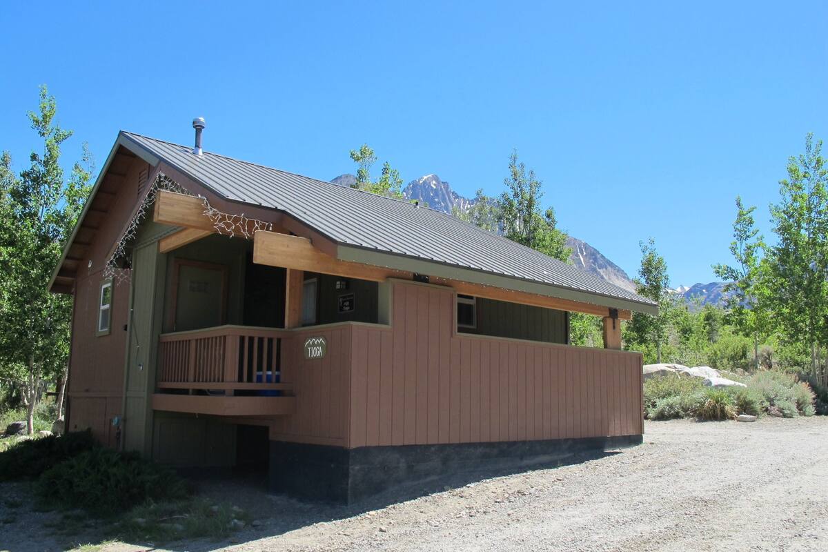 A wooden cabin with a porch, a metal roof, and a sign that reads "TIOGA".
