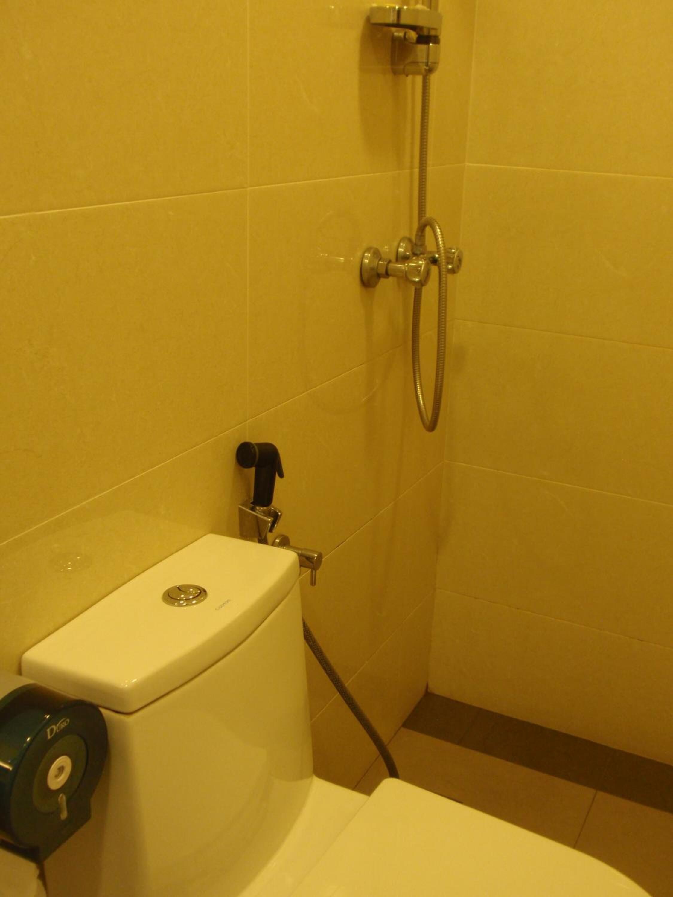 A small bathroom with a toilet, a shower, and a toilet paper holder.