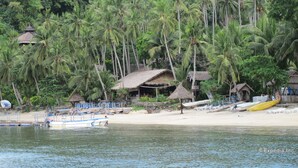 A beach with thatched-roof huts, palm trees, and a boat docked on the shore. - Coco Beach Island Resort (Puerto Galera)