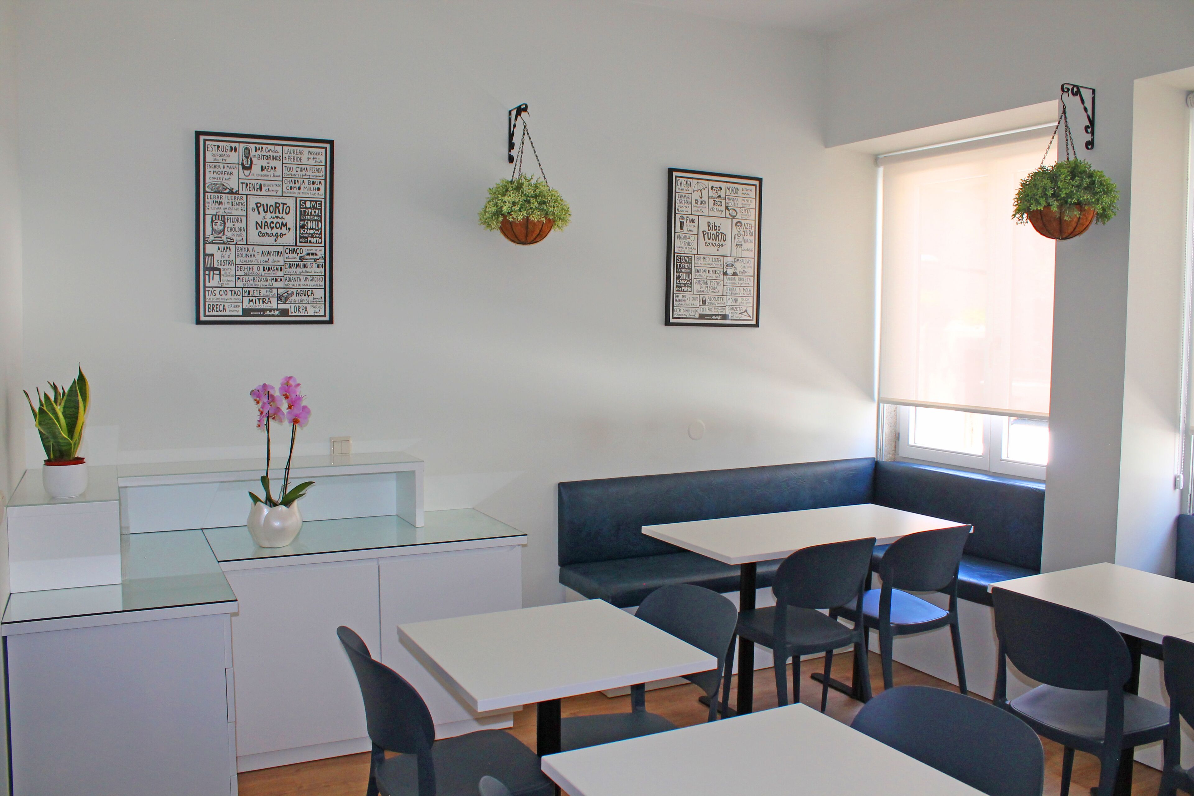 A modern cafe with white tables and chairs, a glass counter, a blue bench, and hanging plants.