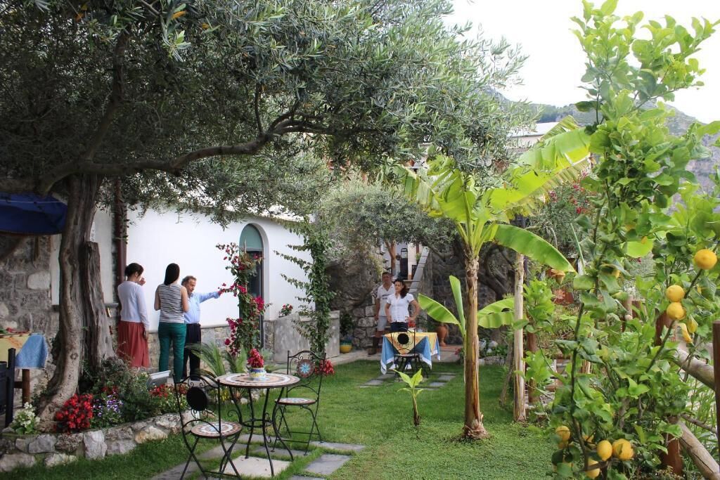 A garden with a table and chairs, surrounded by trees and plants.