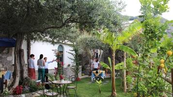 A garden with a table and chairs, surrounded by trees and plants.