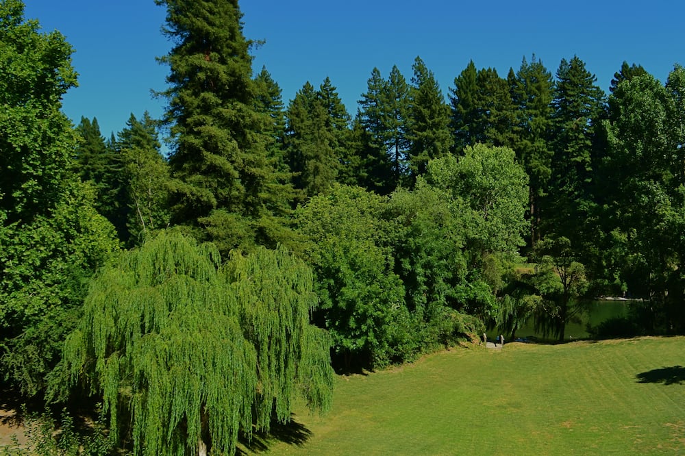 Guerneville Lodge