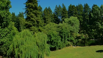 Vue depuis l’hébergement