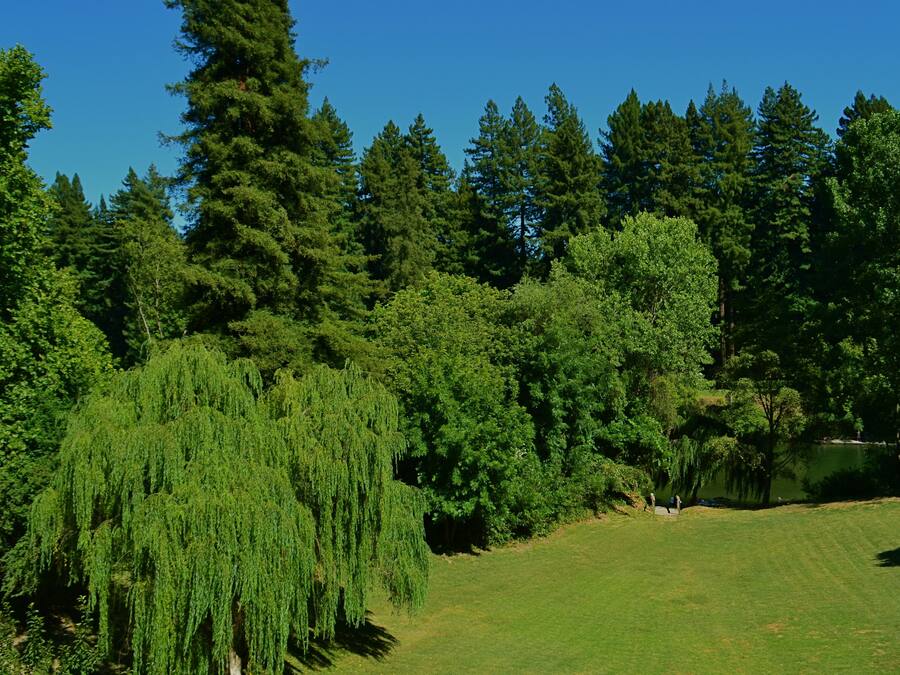 Utsikt fra overnattingsstedet