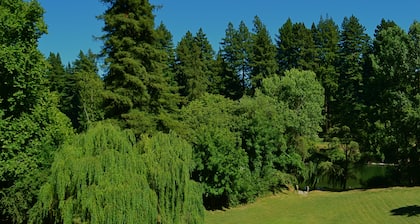 Guerneville Lodge