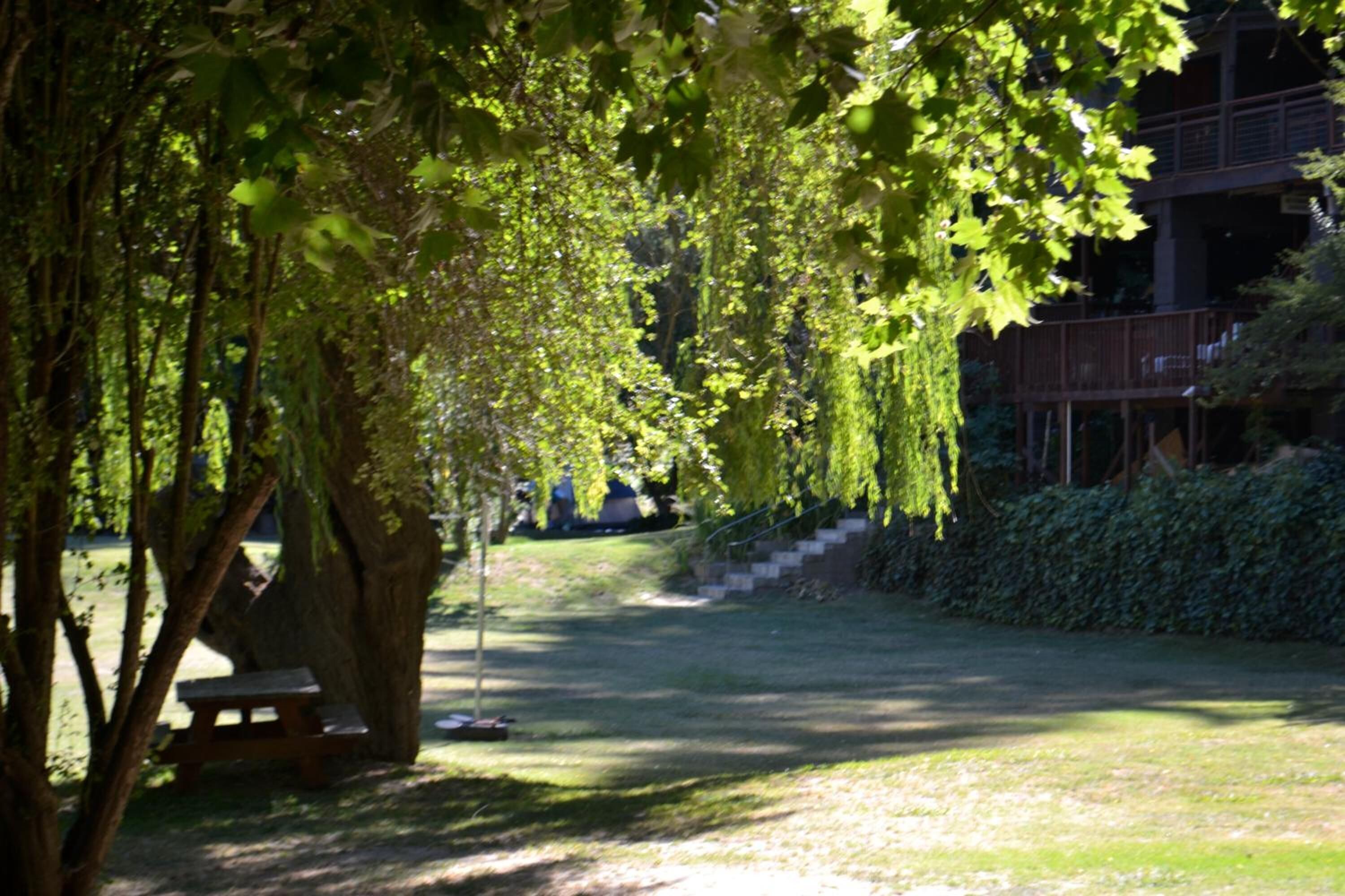 Ein Park mit einem Picknicktisch und einem von Bäumen gesäumten Weg.