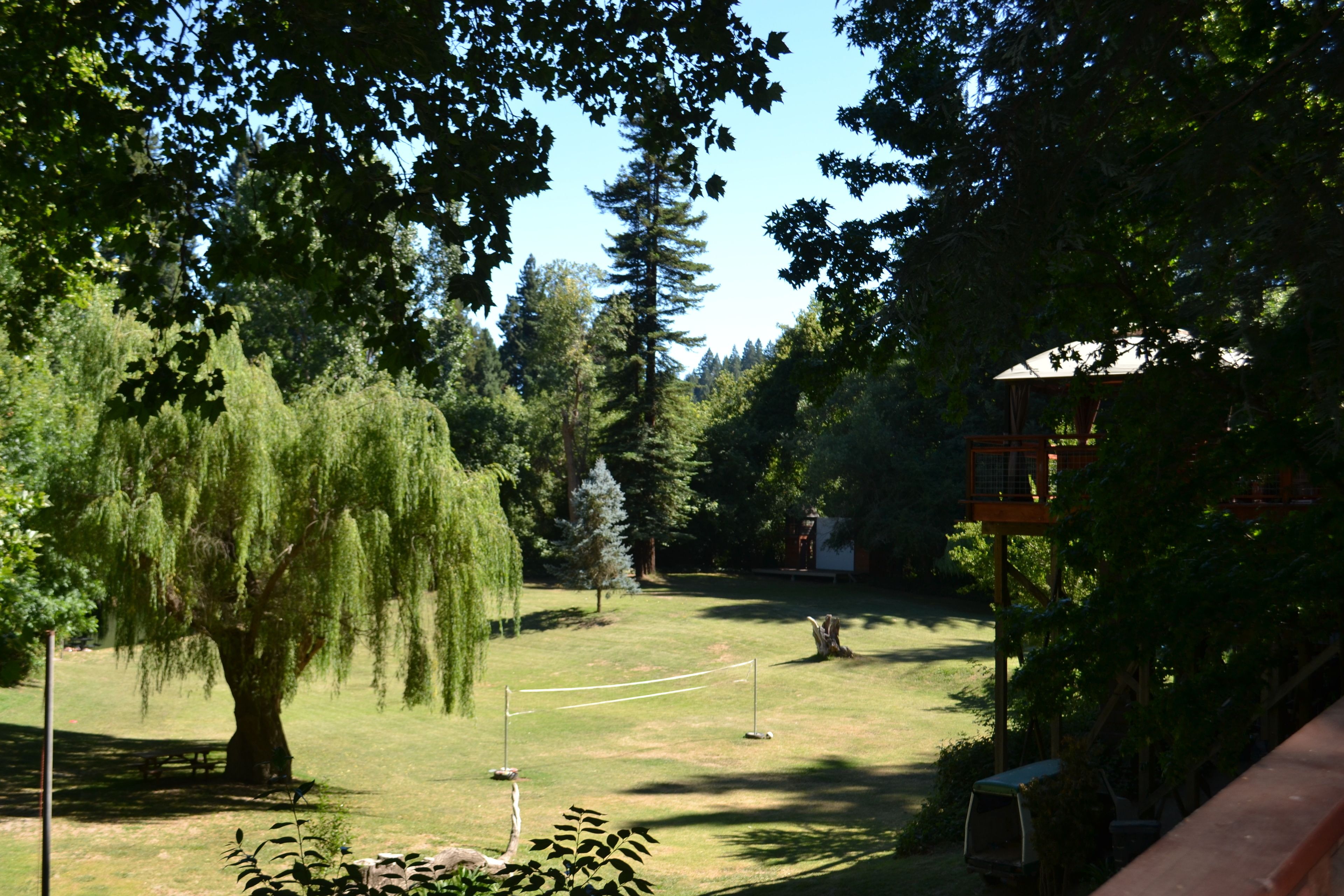 Een park met een kiosk, bomen en een picknickplaats.