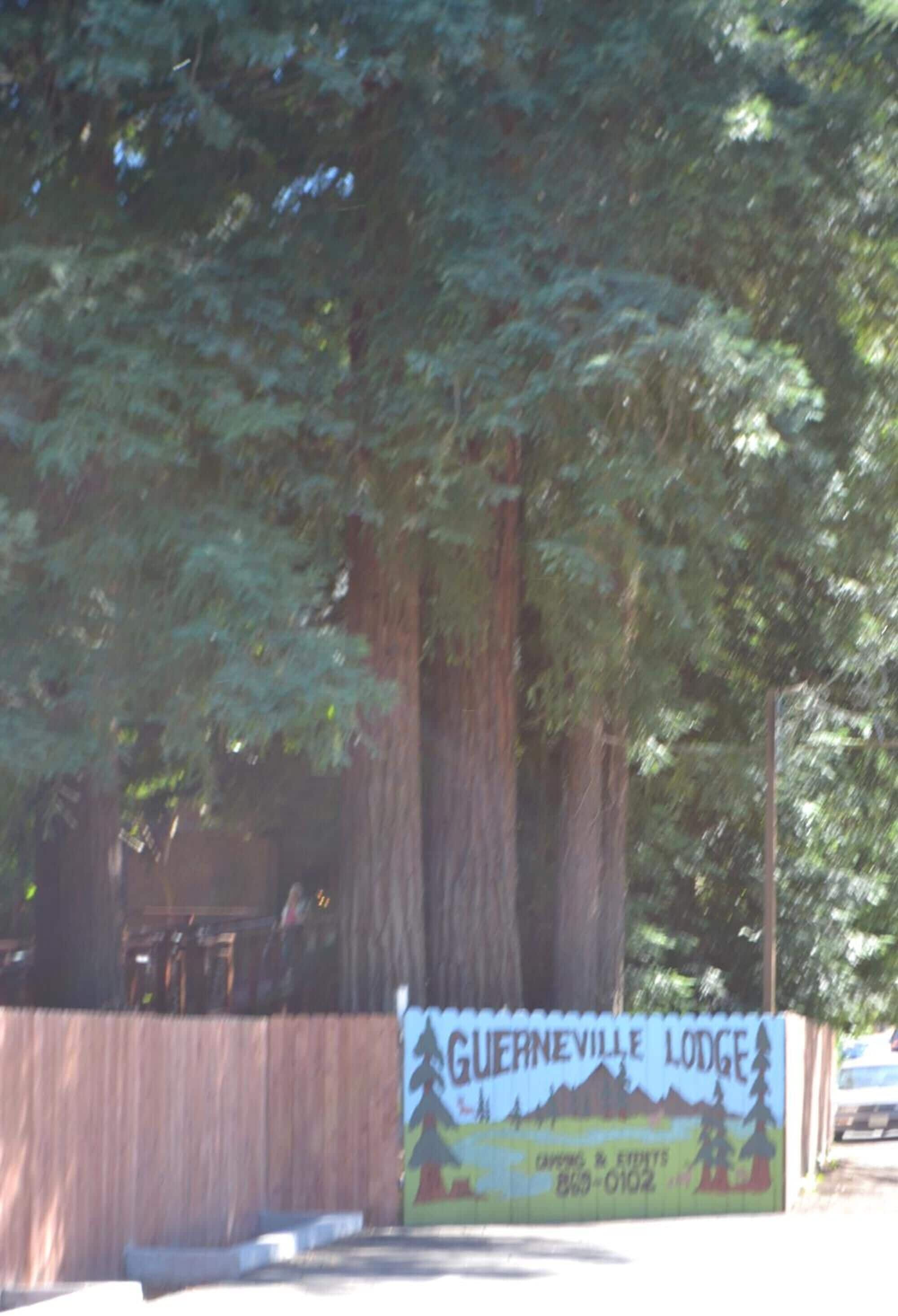 Segnaletica per Guerneville Lodge, con illustrazione di montagna e albero, un numero di telefono e un logo.