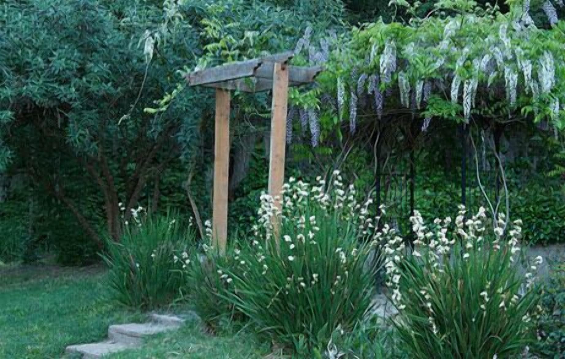 A wooden arbor with climbing plants in a garden setting.
