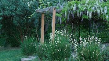 A wooden arbor with climbing plants in a garden setting.