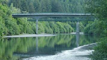 A bridge over a calm river with dense forest on both sides.