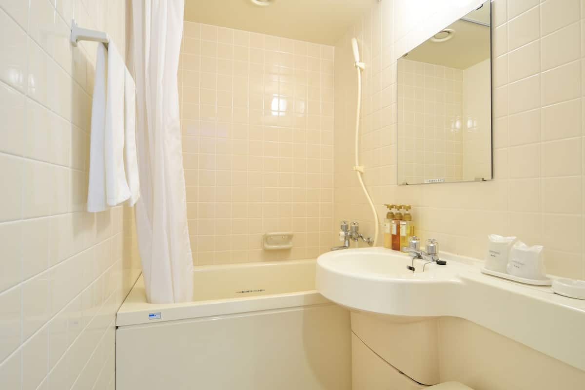 combined shower/bathtub, free toiletries, hair dryer, slippers