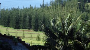 A coastal landscape with dense evergreen trees, a clear view of the ocean, and a palm tree in the foreground. - Panorama Seaside Apartments (Norfolk Island)