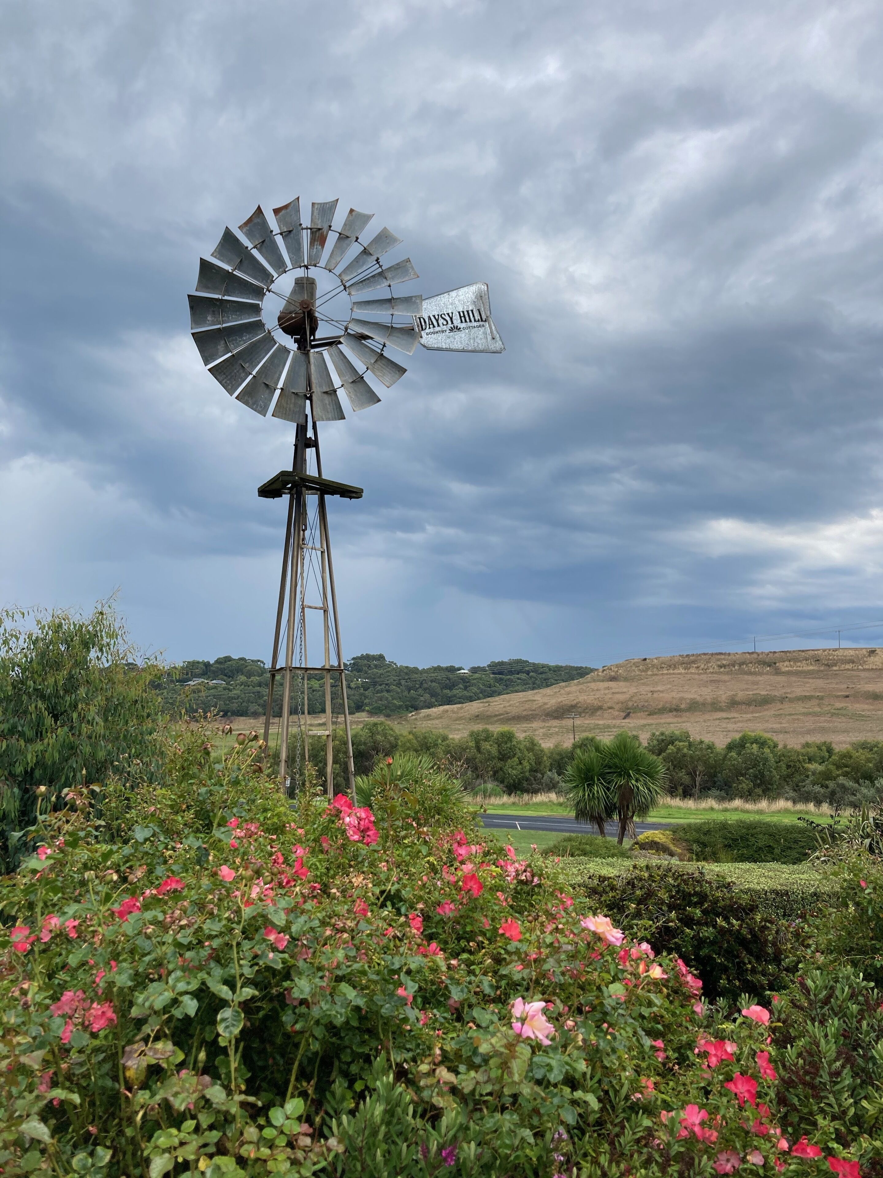 Un molino de viento con un letrero que dice "Daysy Hill" en un paisaje rural con abundante vegetación y un cielo nublado.
