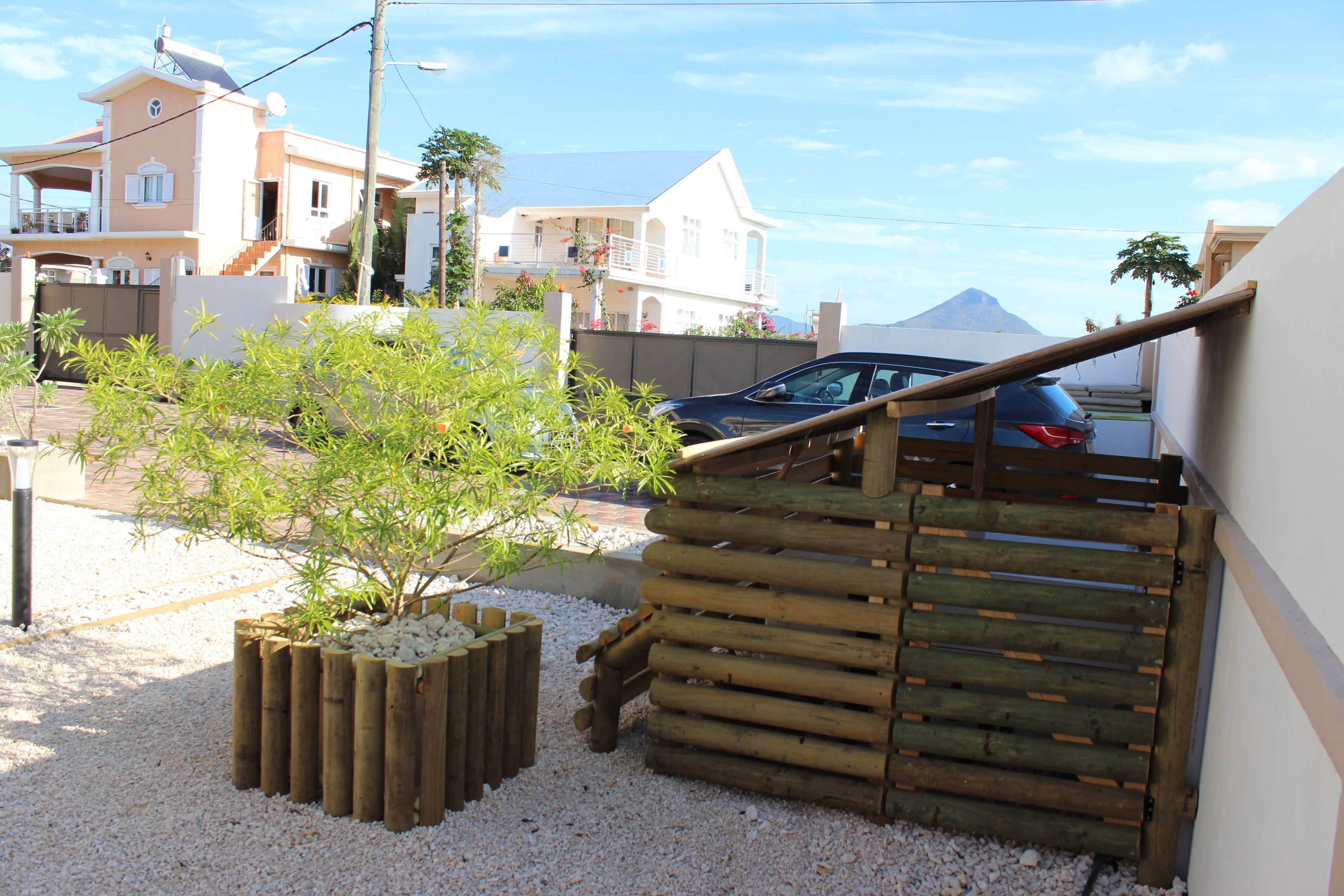 A residential area with houses, a car, and a small tree in a planter.
