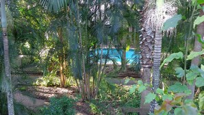Property grounds - Forest Lodge Apartments (Indooroopilly)