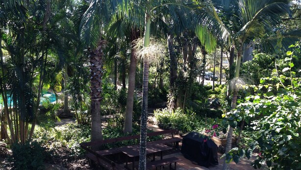 BBQ/picnic area - Forest Lodge Apartments (Indooroopilly)