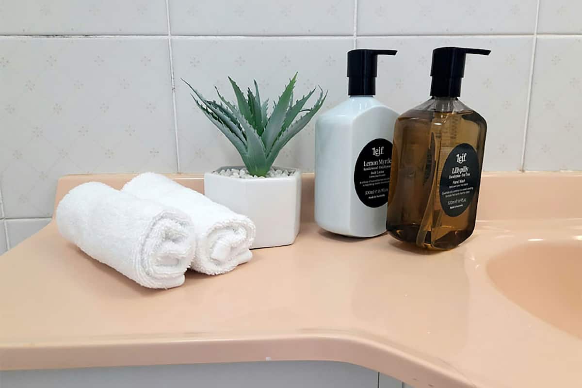 standard room | bathroom amenities | shower, rainfall showerhead, eco-friendly toiletries, hair dryer