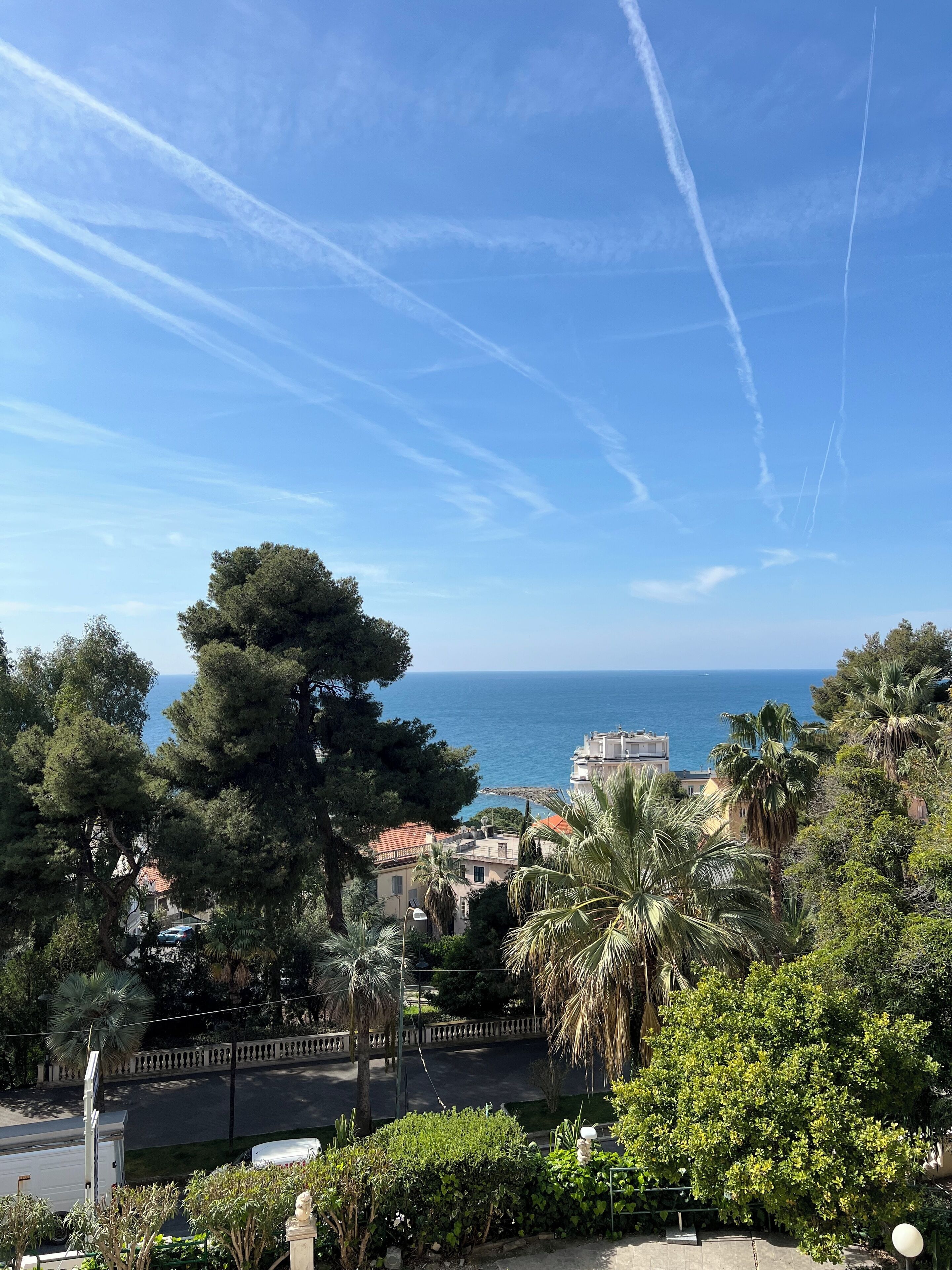 Vista costera con cielo despejado, árboles y edificios.