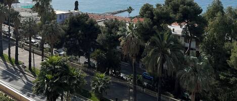 A coastal road with palm trees, a clear sky, and the sea in the background.