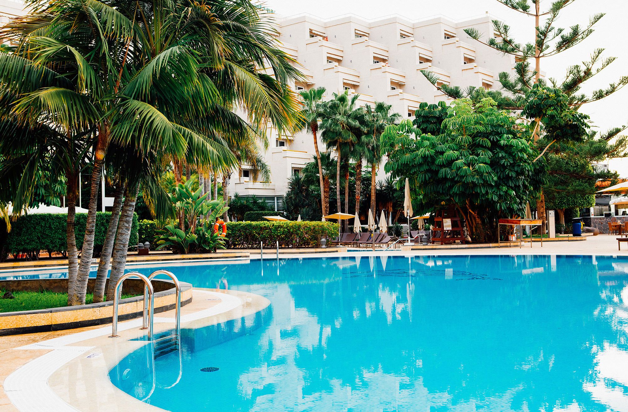 Una piscina rodeada de palmeras y un edificio de hotel al fondo.