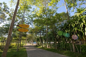 A pathway lined with trees and signs indicating the direction to the Alba Hotel and Spa Center.
