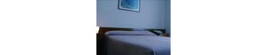 Double Room | Minibar, in-room safe, desk, soundproofing - Hotel Excelsior (Latina)