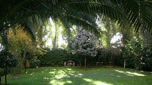 A lush garden with a variety of trees and a small structure in the center. - Hotel Excelsior (Latina)