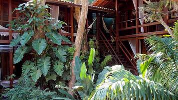Jardín