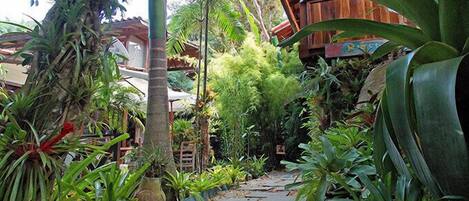 Un sendero en un jardín tropical con diversas plantas y una estructura de madera al fondo.