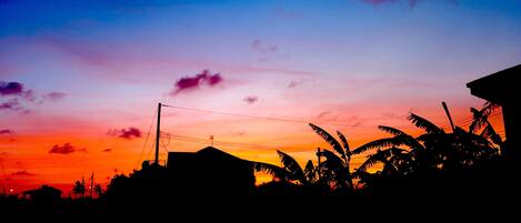 Silhouet van een woongebied met huizen en palmbomen voor een zonsondergang.
