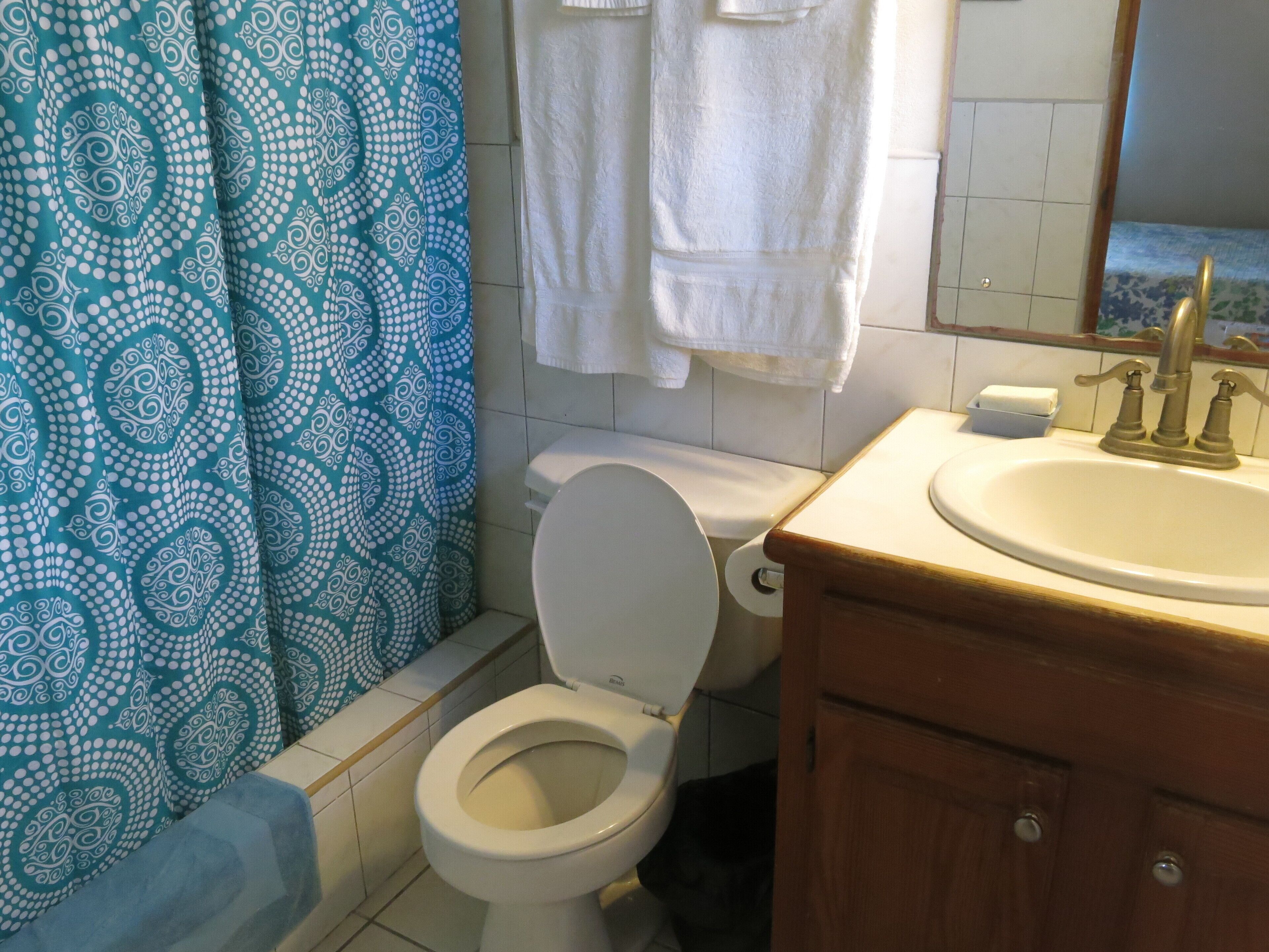 A bathroom with a toilet, sink, and a shower curtain with a blue and white pattern.
