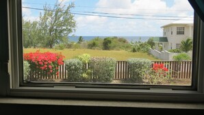 Vista a través de una ventana que muestra un área verde, un árbol y un edificio con techo verde.