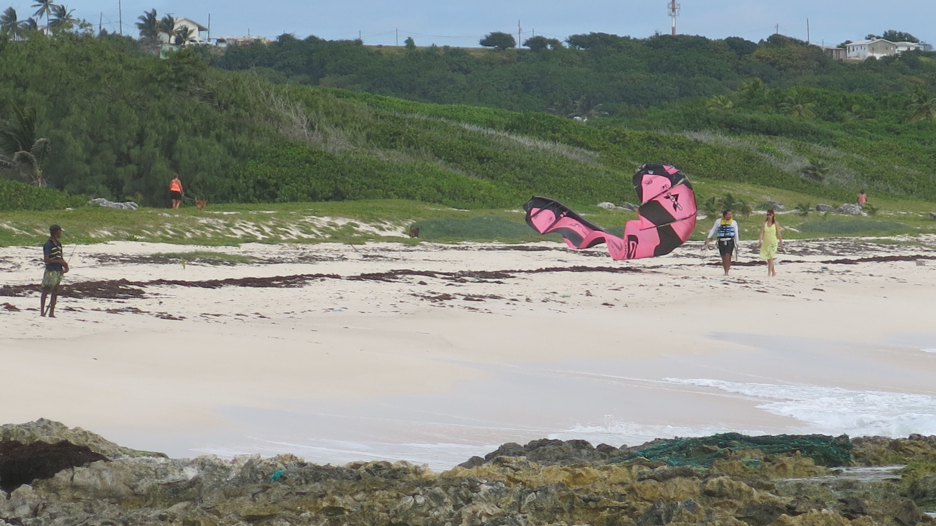 A beach with a large pink kite, rocky shoreline, and distant houses.