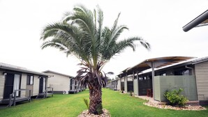 A row of mobile homes with a central palm tree in a grassy area.